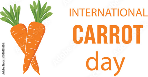 International carrot day celebration design with fresh orange carrots and green leaves healthy vegetable agriculture vector illustration