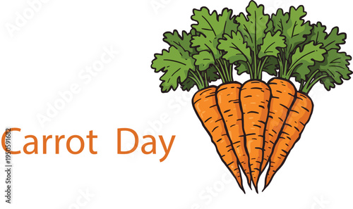   
Carrot day celebration design with fresh orange carrots and green leaves healthy vegetable agriculture nutrition vector illustration
