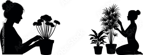 Silhouette of two women tending to potted plants in a serene and peaceful environment silhouette