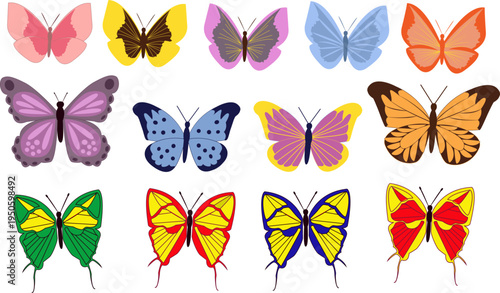 Colorful butterfly collection set