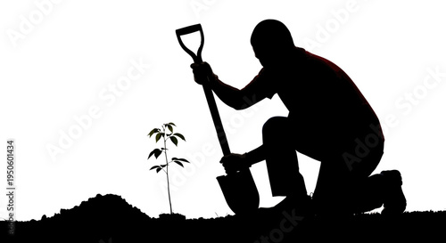 Man planting a small tree outside.