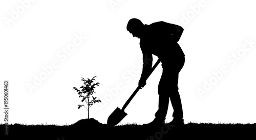 Man Planting Small Tree Outdoors.