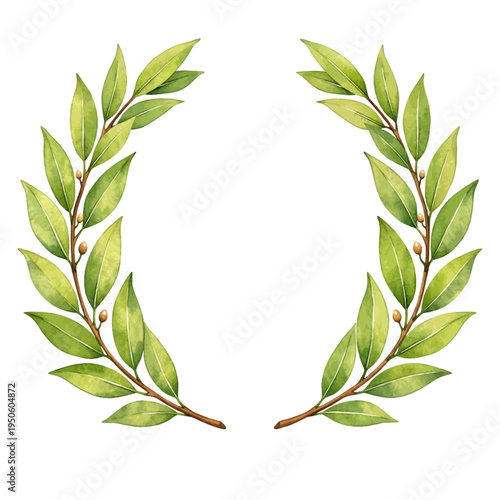 A watercolor bay leaf wreath with fresh green aromatic leaves arranged in an elegant botanical circular frame, isolated on a transparent background.