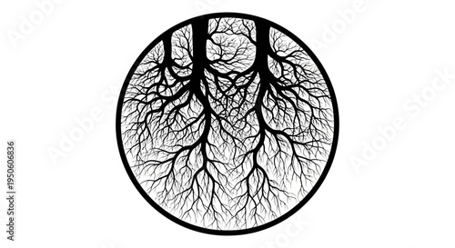 Intricate black and white tree roots in a circular frame, symbolizing nature, growth, ecology, and interconnected systems.
