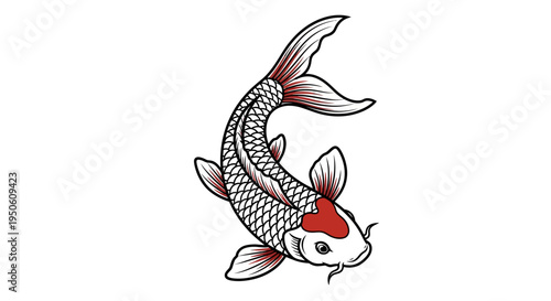 Japanese Koi Fish Illustration, Red and White Scales, Swimming Gracefully