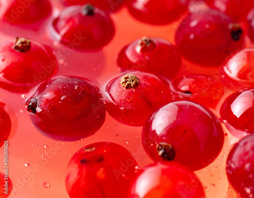 Close-up of vibrant red berries suspended in clear, shimmering gelatin creates an artistic, refreshing dessert.