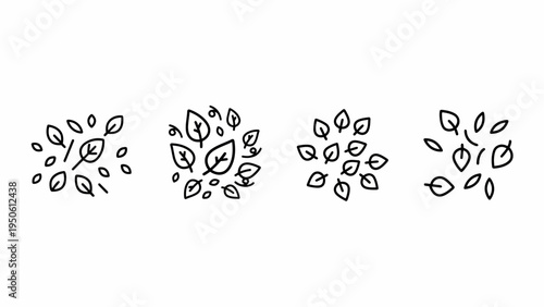 Set of four hand-drawn iconographic illustrations depicting clusters of delicate leaves, presented in a minimalist, monochrome artistic style