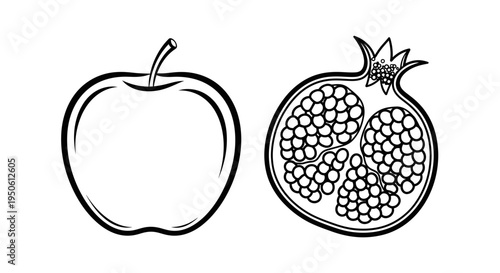 Apple and pomegranate fruit illustration