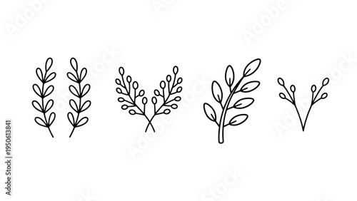 Collection of elegant botanical line art illustrations featuring delicate branches and leaves