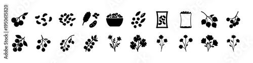 Berry and Fruit Silhouette Icons Collection - Black silhouette icon set of berries and small fruits such as strawberries, cherries, raspberries, and grapes for food, agriculture, and nutrition graphic