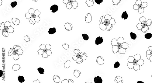 black flowers and petals on white background