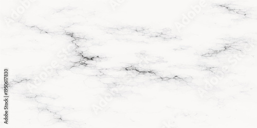 Subtle marble veins create a sophisticated and artistic backdrop, perfect for adding an element of luxury and elegance. 