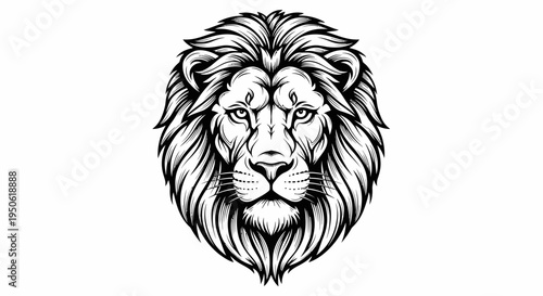 lion head vector illustration