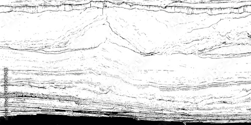 Abstract black and white texture background organic mineral vein soil pattern horizontal line patterns reminiscent of sedimentary rock layers.