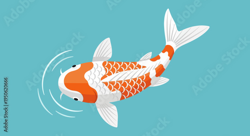 Vibrant Orange and White Koi Fish Swimming in Clear Blue Water