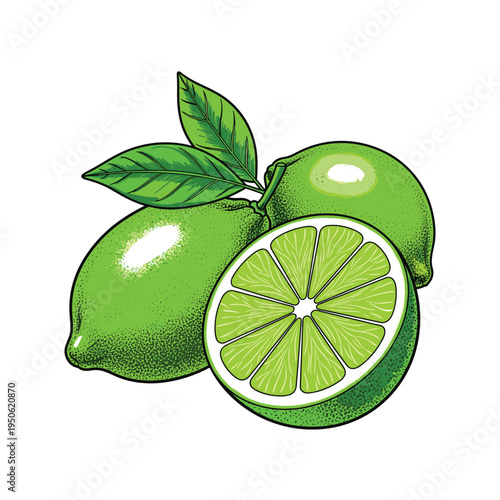 Illustration of vibrant green limes including a halved fruit revealing its segments