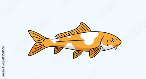 Orange and White Koi Fish Swimming in Clear Water, Decorative Aquarium Pet