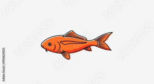 Orange Koi Fish Illustration, Isolated on White Background