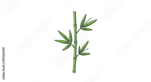 Green Bamboo Stalk with Leaves, Hand-Drawn Style, Isolated on White Background