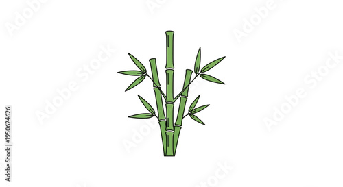 Green Bamboo Stalks with Leaves Isolated on White Background