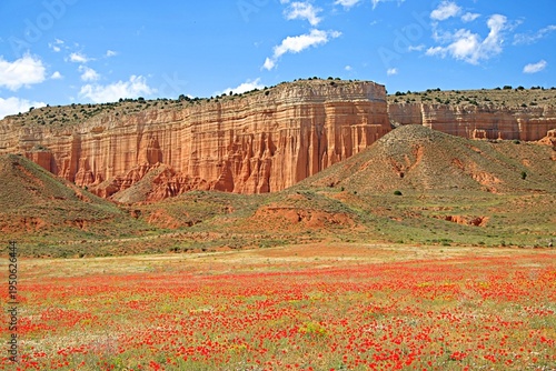 Paisaje de los Badlans de Teruel en primavera