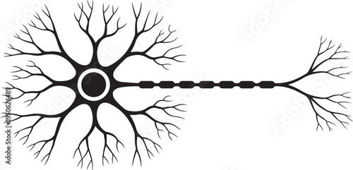 Brain neuron symbol. Human neuron cell sign. Synapses, myelin sheat, cell body, nucleus, axon. black icon drawing vector
