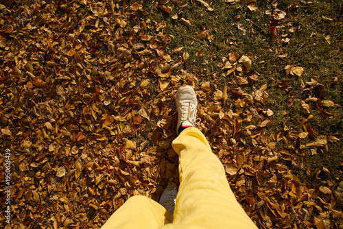 Bright yellow pants and white sneakers walking through colorful autumn leaves on a sunny day in the park