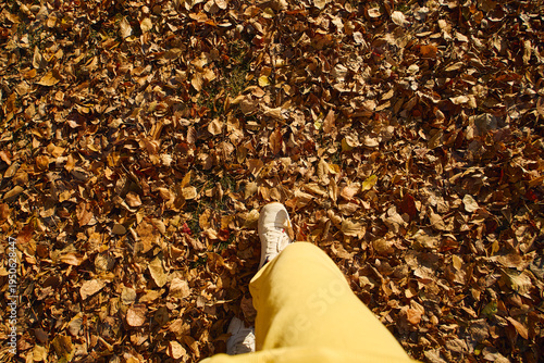 Bright yellow pants and white sneakers walking through colorful autumn leaves on a sunny day in the park