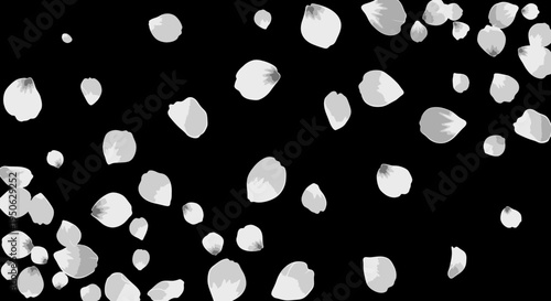 white snowflakes falling on black background