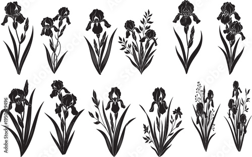 Wild iris flowers and branches botanical set. Detailed blooming floral background for Valentine invitation, wedding card and decorative wallpaper vector illustration.