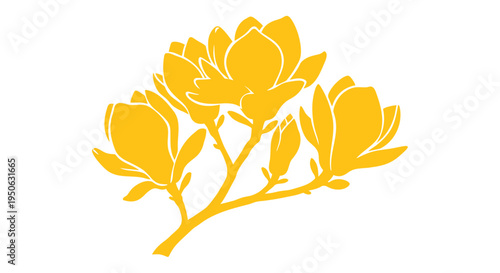Yellow magnolia flower branch vector illustration