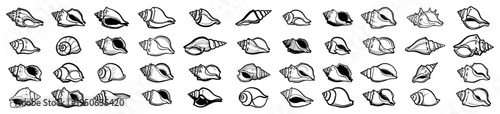 Seashell Icons Set Hand Drawn Ocean Shells Collection Vector