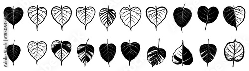 Bodhi Leaf Icons Set Heart Shaped Sacred Fig Leaves Outline Vector Collection