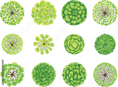 Top view green tree canopy collection with detailed foliage vector illustration for landscape design mapping urban planning and environmental projects