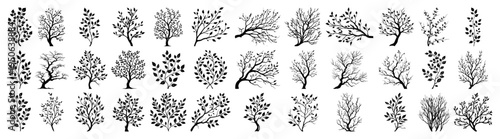 Big collection of tree and branch silhouettes Set of black vector icons of plants with and without leaves for nature design