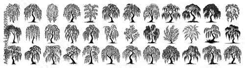 Weeping willow tree vector icon mega set Large collection of black nature and garden plant silhouettes