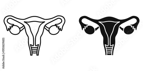female reproductive system anatomy side view flat design vector illustration