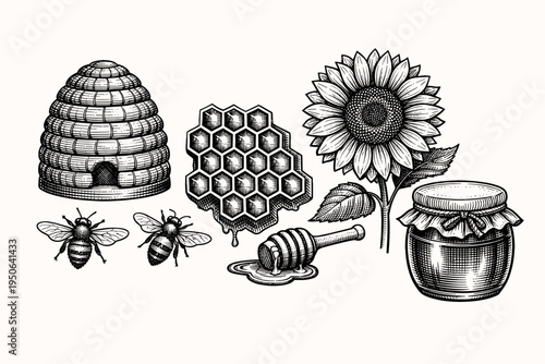 Vintage Hand Drawn Engraving Style Bee and Honey Collection Featuring Honeycomb, Beehive, Sunflower, Honey Dipper, and Jar. Retro Woodcut Vector Illustration for Organic Food and Beekeeping.
