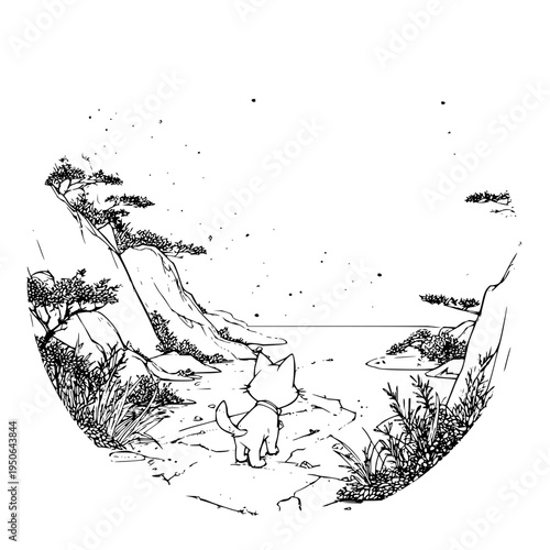 Fox Looking at Night Sky on Mountain