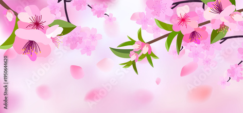 Pink cherry blossom flower branches, buds and leaves set, sakura illustration with petals, Japanese spring floral background for pattern and frame design.