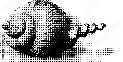 Baroque shell design with halftone effect - black and white ornamental art for classic decor