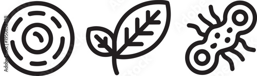 Hand Drawn Minimalist Nature Icon Set Featuring a Circular Eye Cell, a Single Leaf, and Ant Vector