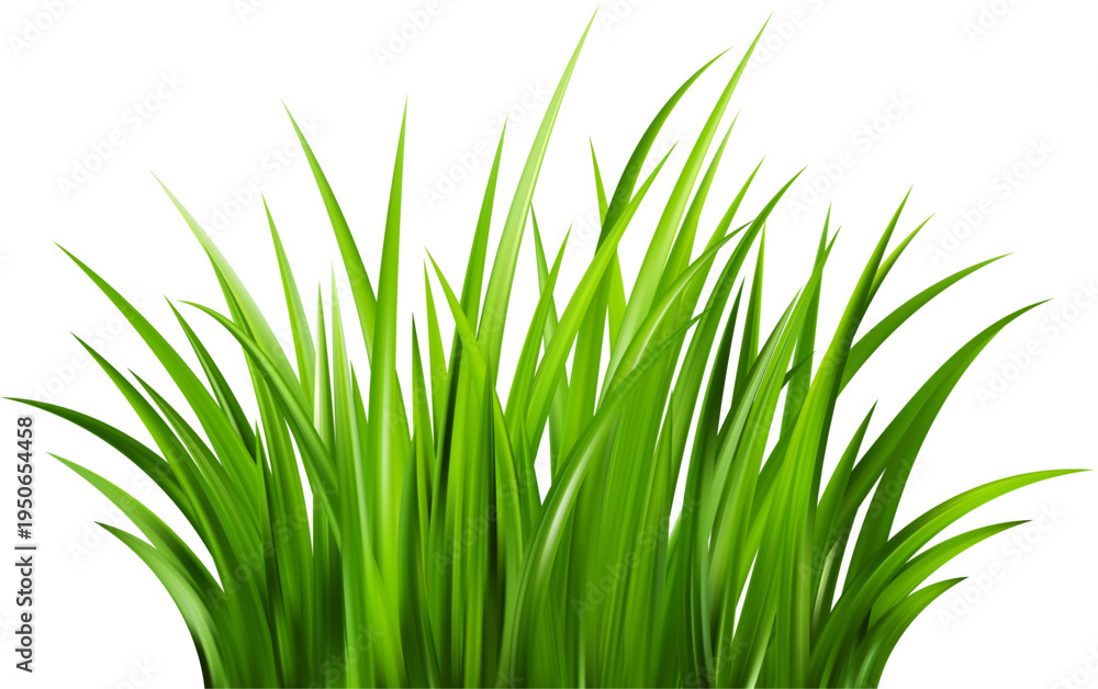 Fototapeta premium Realistic green grass. Bushes of fresh greens. Spring meadow. Summer lawn. Glade with plants. Nature landscape vector illustration.