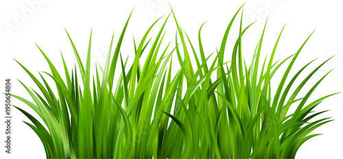 Realistic green grass. Bushes of fresh greens. Spring meadow. Summer lawn. Glade with plants. Nature landscape vector illustration.