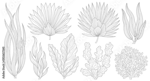 Monochrome botanical illustration collage featuring various leaves, stems, and blossoms arranged in a graceful natural composition.
