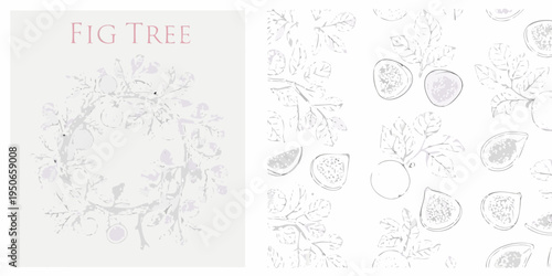 Botanical illustration of a fig tree with fruit and delicate foliage