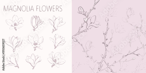 Delicate magnolia flower illustrations with branches against a pink backdrop
