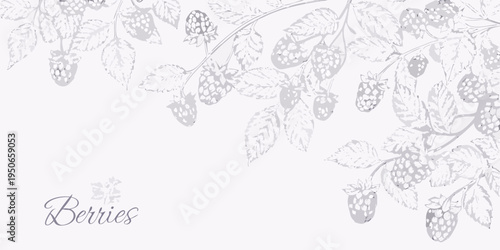 Delicate sketch of ripening blackberries and lush green leaves