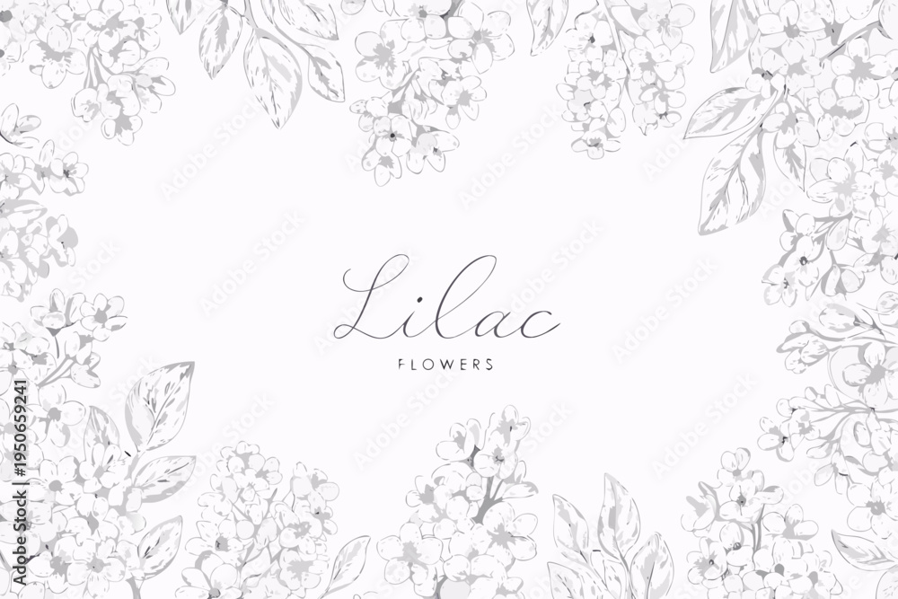 Obraz premium Delicate lilac flower illustration with calligraphy and a soft background