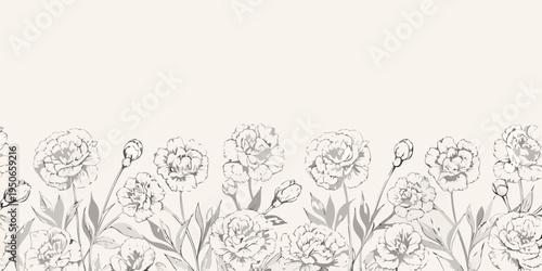 Delicate floral border with sketched carnations and green foliage